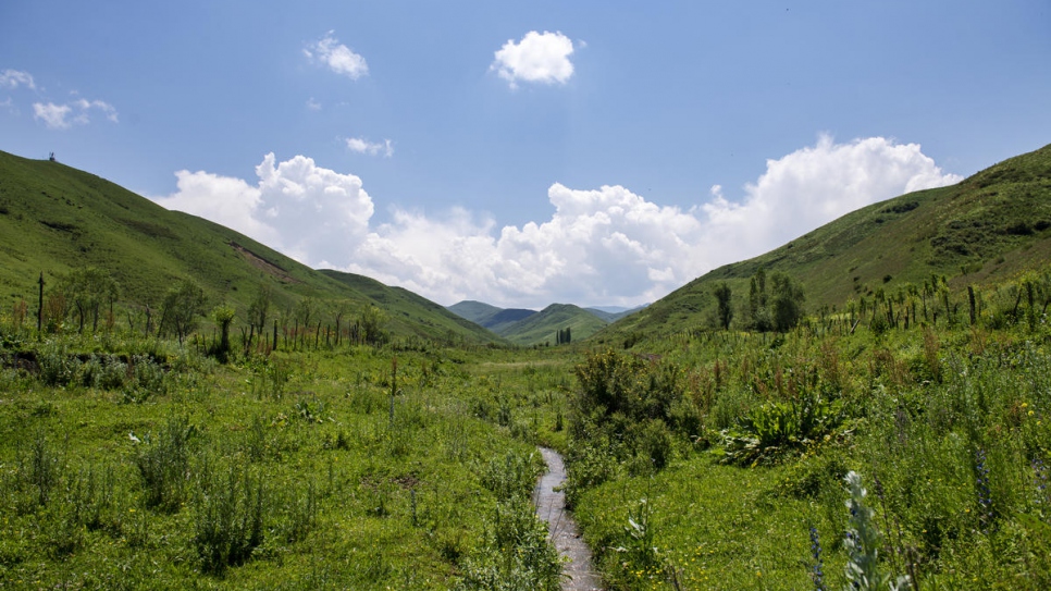 La campagne entourant les ruches d'Abdusamat à la périphérie d'Osh, au Kirghizistan.