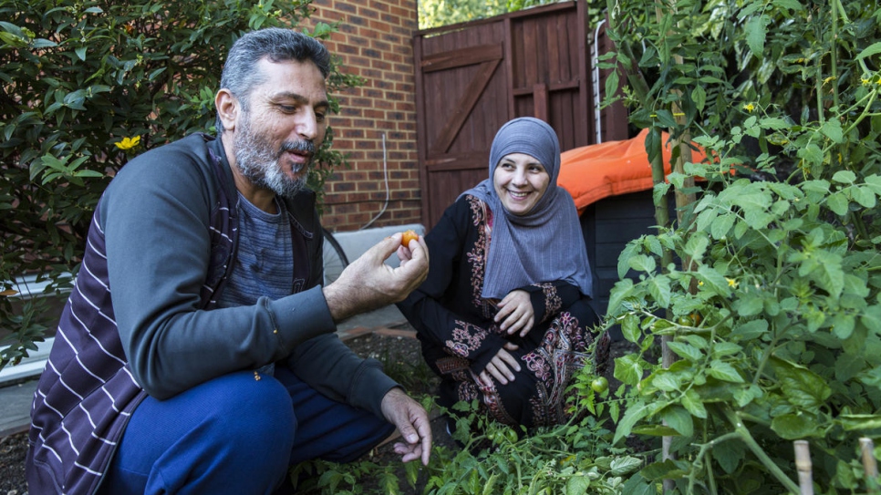 Syrian refugee Khiloud Al-Shaabin smiles as her husband Hassam tastes a tomato from the vegetable garden at their new home in south London.