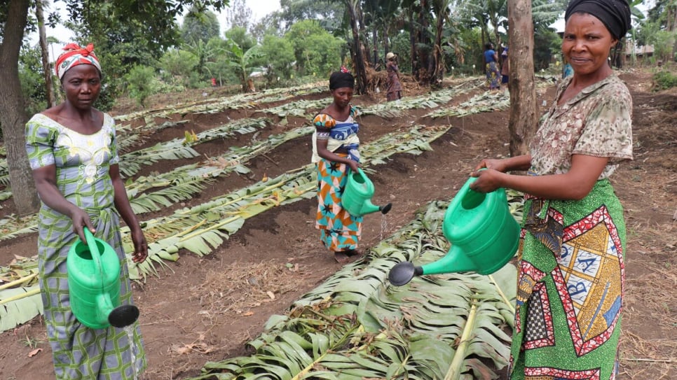 UNHCR - World Food Day: Celebrating efforts to strengthen local food systems for displaced and host communities - Vimarsana News