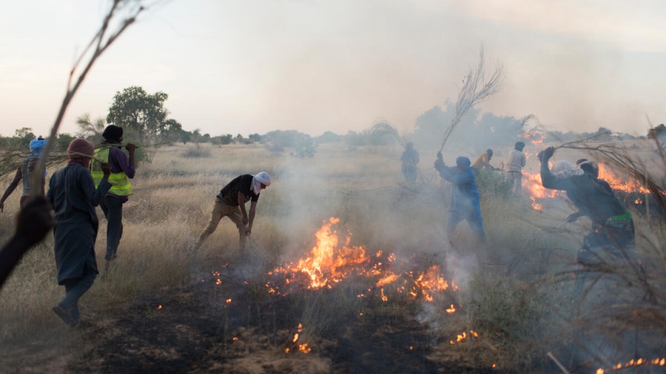 Des membres de la brigade anti-feu de Mbera utilisent des branches pour éteindre un feu de brousse.