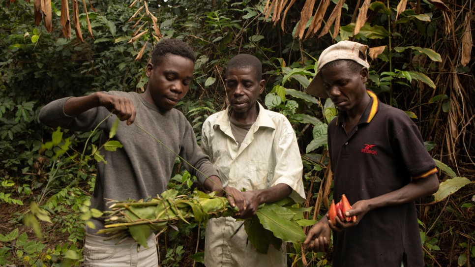 Damas Ngolo (au centre) aide Clave (à gauche), un autre villageois, à ficeler des bottes de feuilles ramassées dans la forêt, tandis que son fils aîné, Bibila (à droite), tient des tondolos qu'il a ramassés.