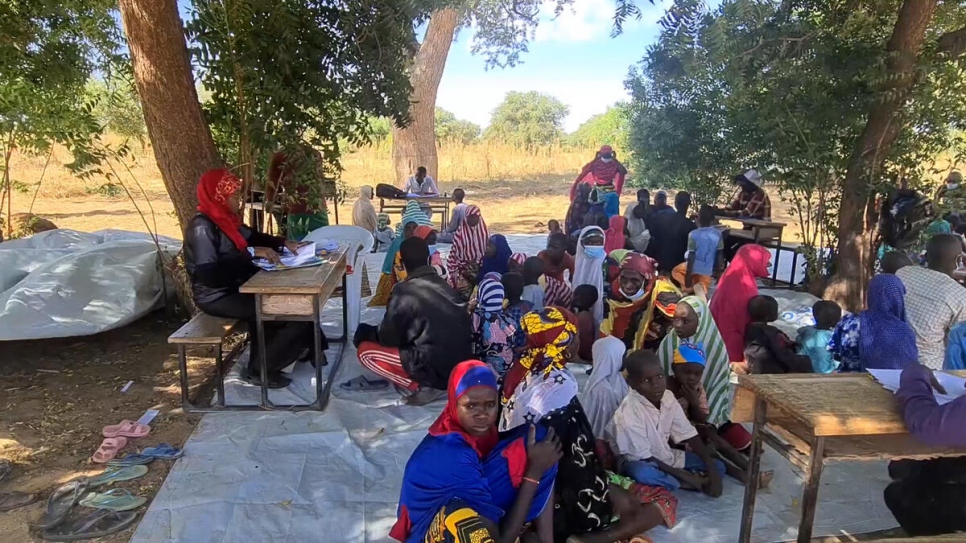 Des employés du HCR enregistrent des réfugiés nigérians à Bangui, un village du département de Madaoua dans la région de Tahoua, au Niger.  