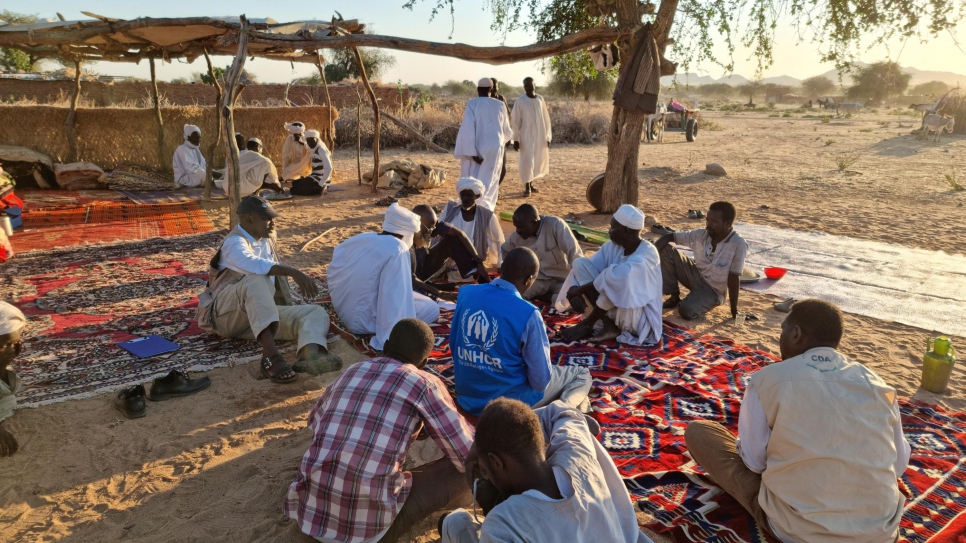 UNHCR - Darfur clashes displace thousands - Vimarsana News