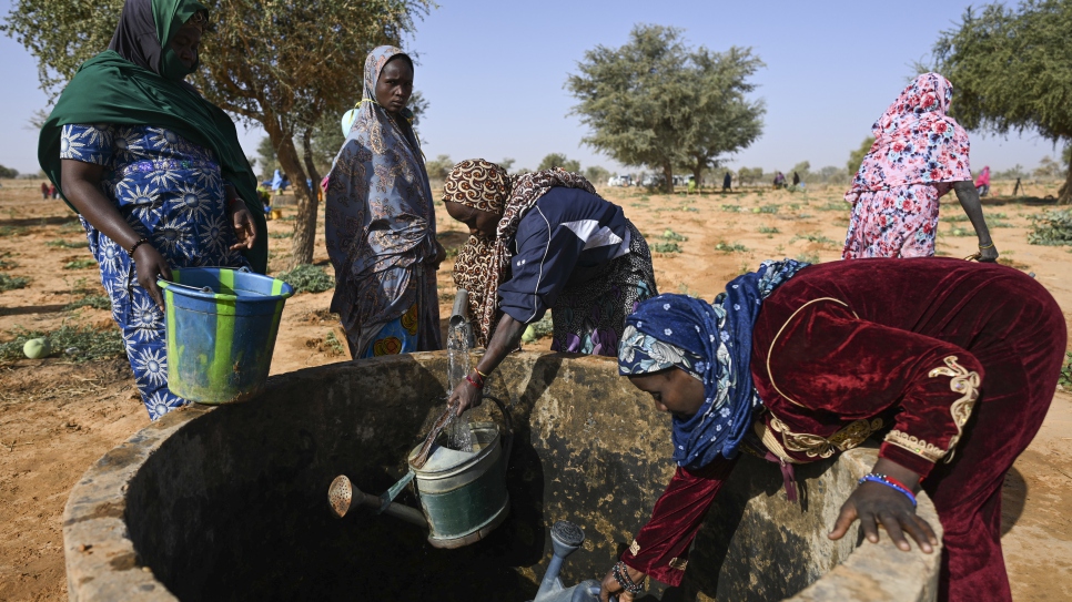 Women draw water from a well before tending to their plants.