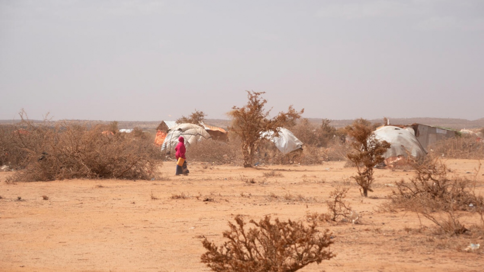 UNHCR - Somalis abandon their homes in search of food, water and aid as drought deepens - Vimarsana News