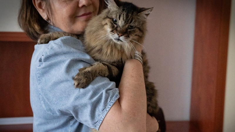 A woman holding a cat
