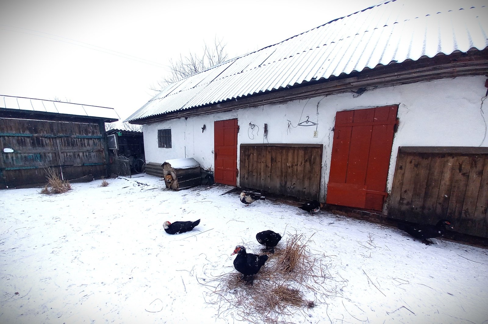 Anatolii lives in a small frontline village in Symy region