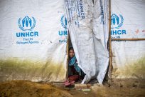 Double anniversary: 70 years of UNHCR founding and 25 years of its presence in Ukraine in 25 photos