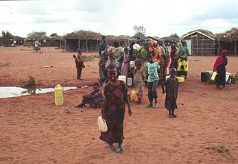 Dadaab camp in Kenya, cited in the report by the U.N. Office of Internal Oversight Services.