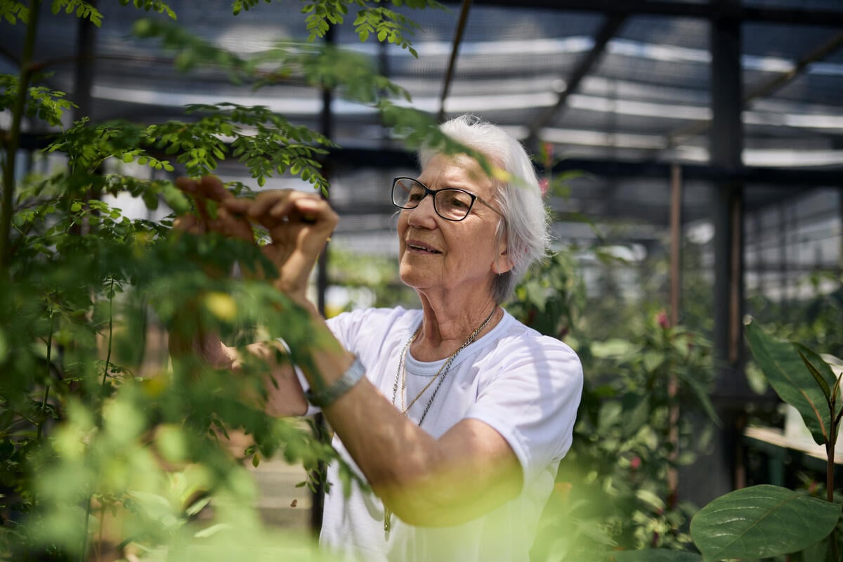 A woman in a white t-shirt tends to plants inside a large greenhouse