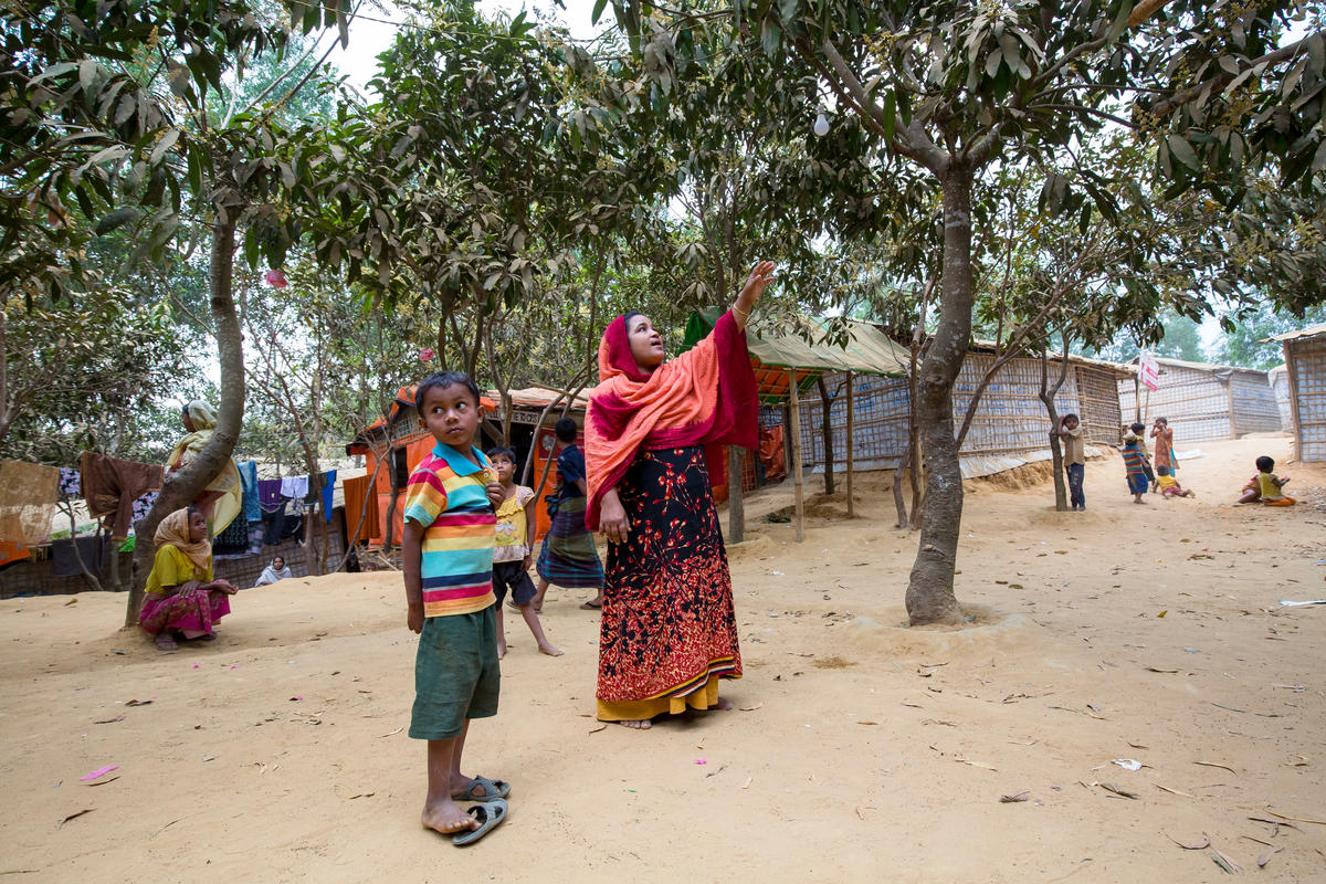 Bangladesh. Bangladeshi farmers shelter Rohingya refugees