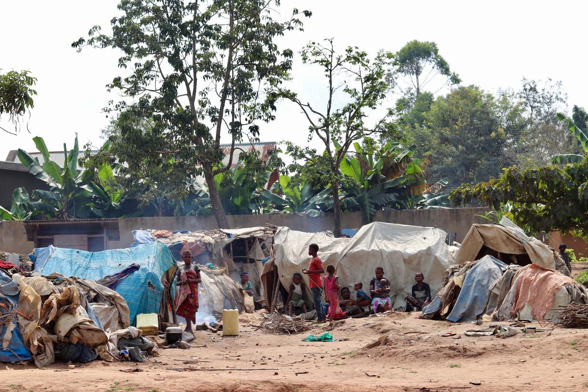 Democratic Republic of Congo. Mbuti IDPs (indigenous community)