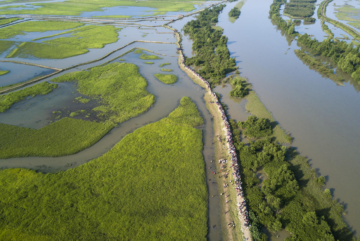 Bangladesh. Rohingya arrivals moved to new site