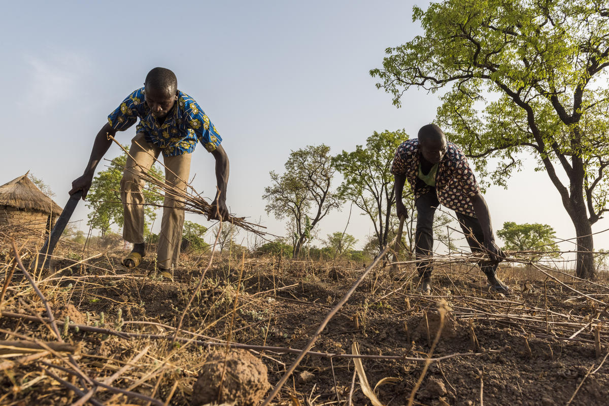 Côte d'Ivoire. UNHCR supporting an organisation campaigning against statelessness