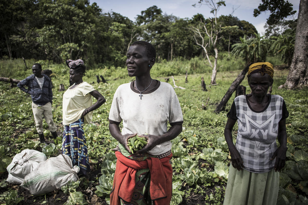 Democratic Republic of Congo. South Sudanese refugees grow local economy