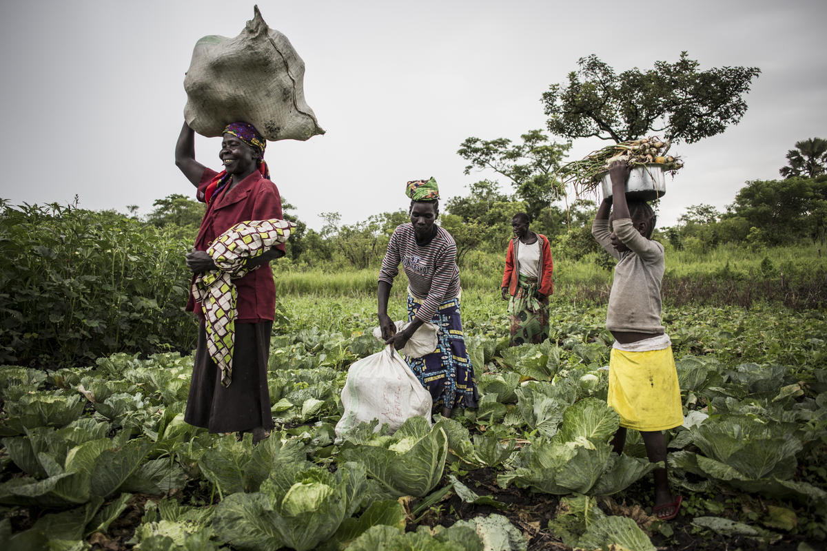 Democratic Republic of Congo. South Sudanese refugees grow local economy