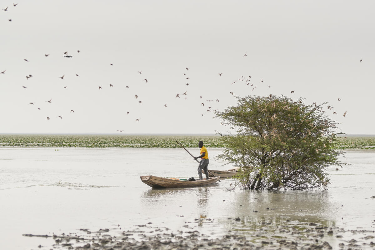 Mauritania. Lake's dwindling waters threaten farming and fishing communities