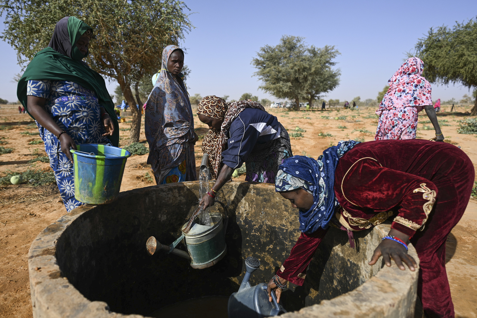 Niger. Refugees, internally displaced and host community join forces on market garden project