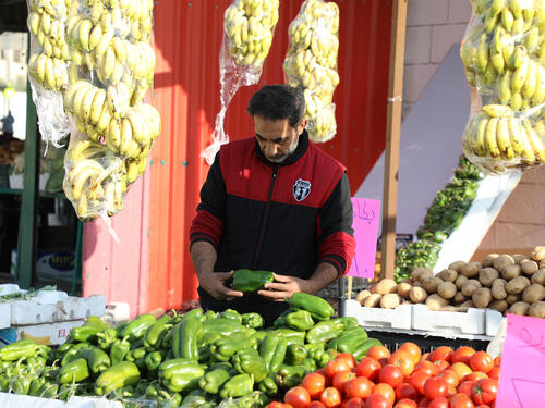 Jordan. Syrian home based business in Karak