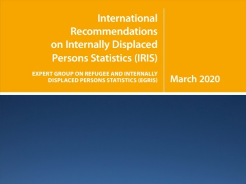 Thumbnail of a publication cover, text reads International Recommendations on Internally Displaced Persons Statistics (IRIS)