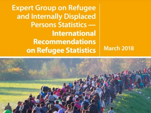 Thumbnail of a publication cover, text reads International Recommendations on Refugee Statistics (IRRS)