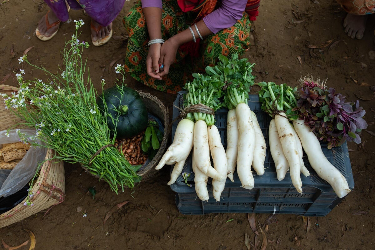 Bangladesh. This small vegetable collection center, set up by UNHCR and  their partner CNRS is uniting local farmers. Mathana is selling the vegetables she has produced in her garden