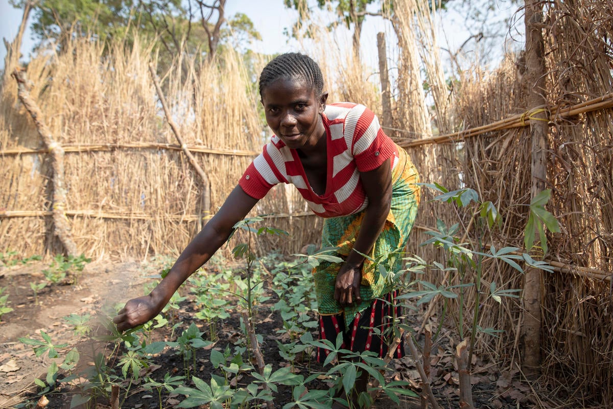Zambia. Congolese refugees find peace among welcoming Zambians