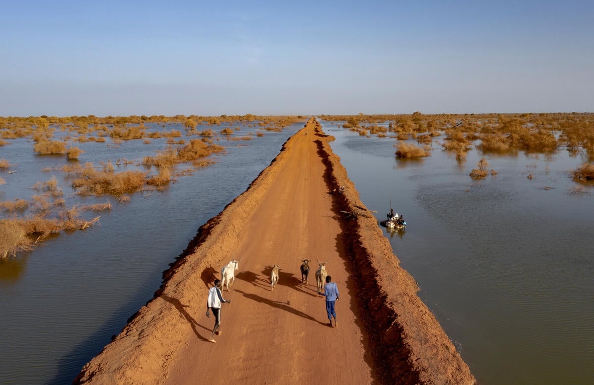 Two people herd goats along a dirt road surrounded by floodwaters that stretch all the way to the horizon.