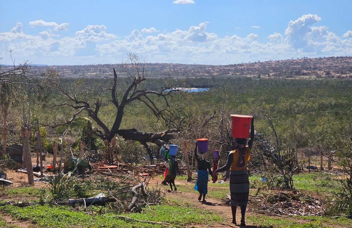 Women carry water on their heads while walking towards a forest of small trees.