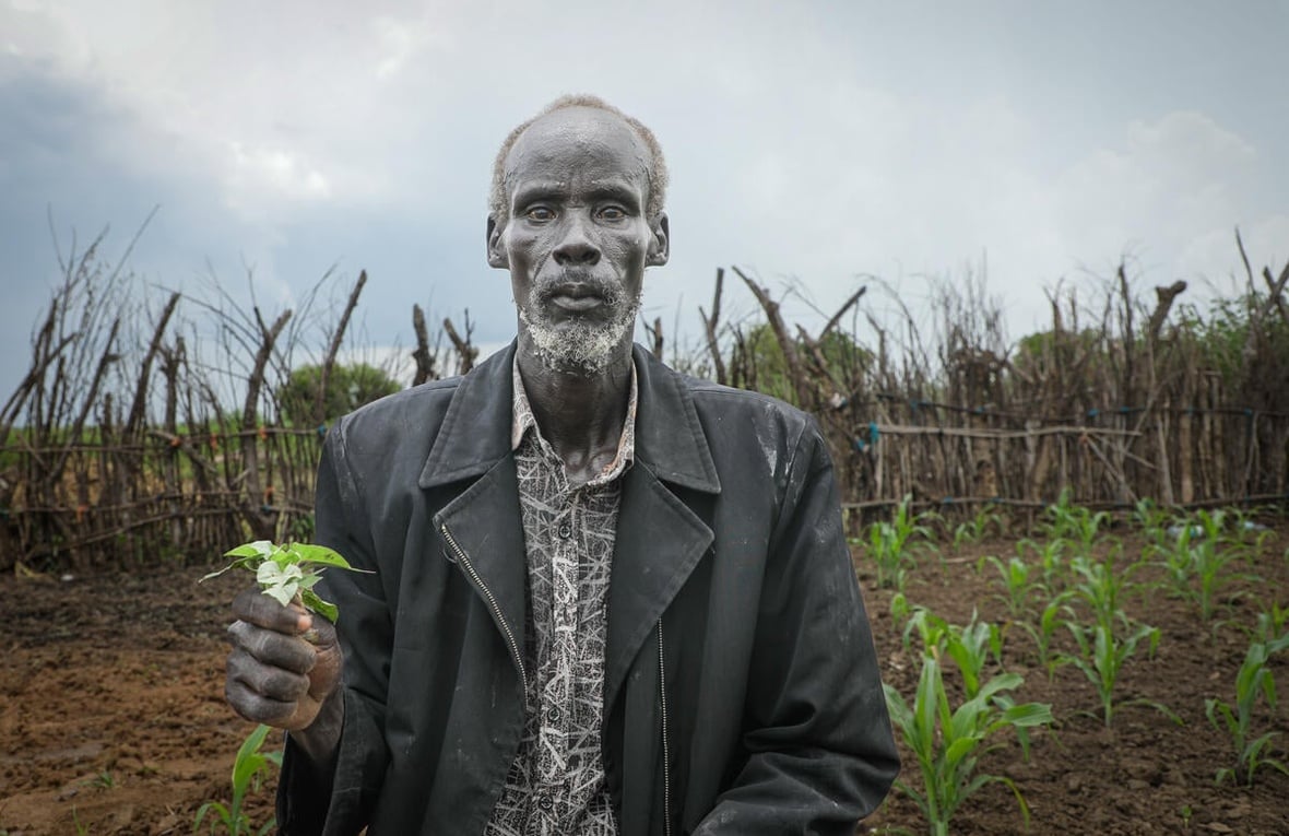 A South Sudanese man holds a plant in front of his field of crops