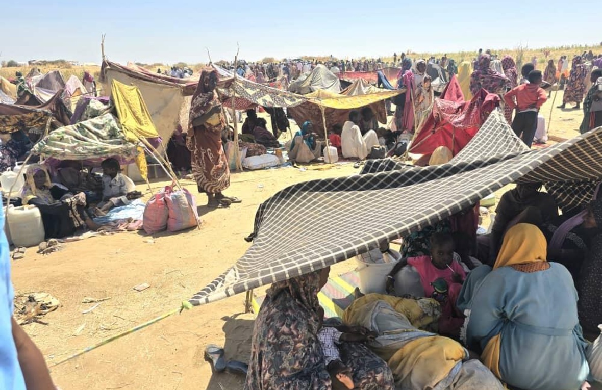 Hundreds of Sudanese people shelter under shade cloths held up by branches
