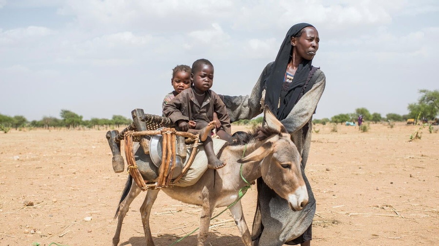 A woman walking beside a donkey, on which two children are sitting