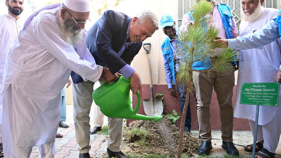 Two men water a newly planted sappling as others look on