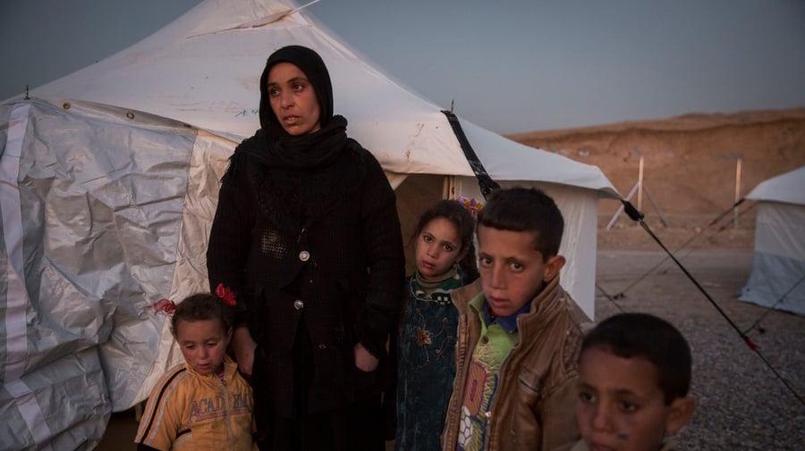 Iraq. Internally displaced Iraqis reach safety