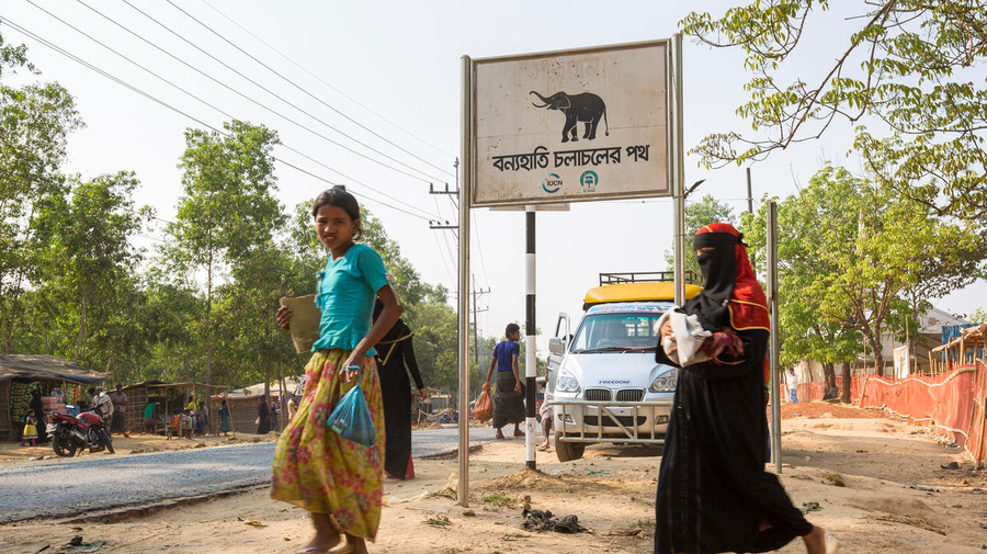 Bangladesh. Elephant crossing sign
