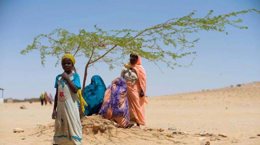 Chad. Hunger and hard choices for Sudanese refugees