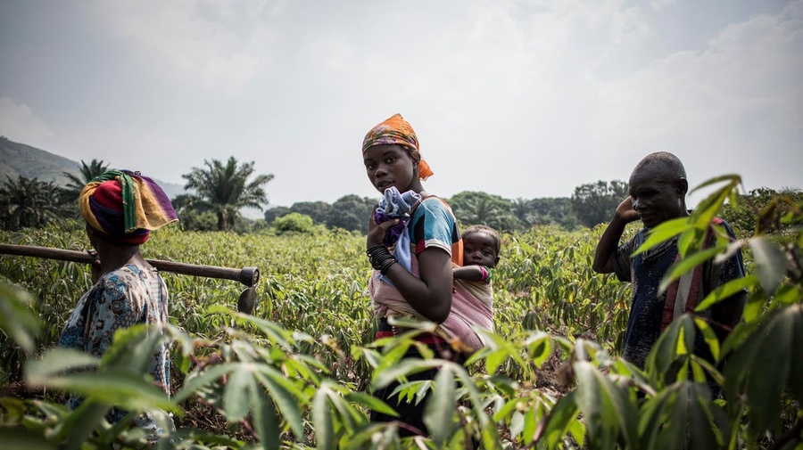Democratic Republic of Congo. Peace villages and agricultural empowerment earn Evariste Mfaume a Nansen nomination