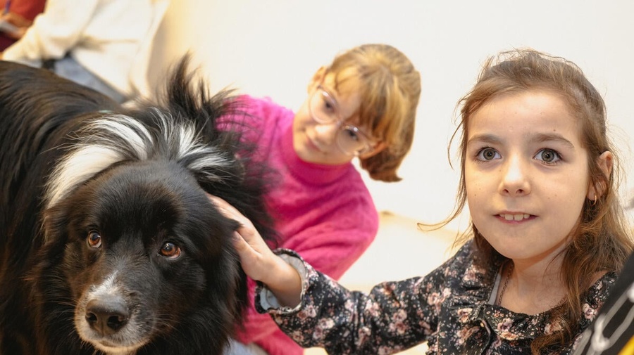 Maria (a la derecha derecha) y Yuliya, refugiadas ucranianas, asisten a una sesión de terapia canina en noviembre en el centro comunitario Budapest Helps!, en Hungría.