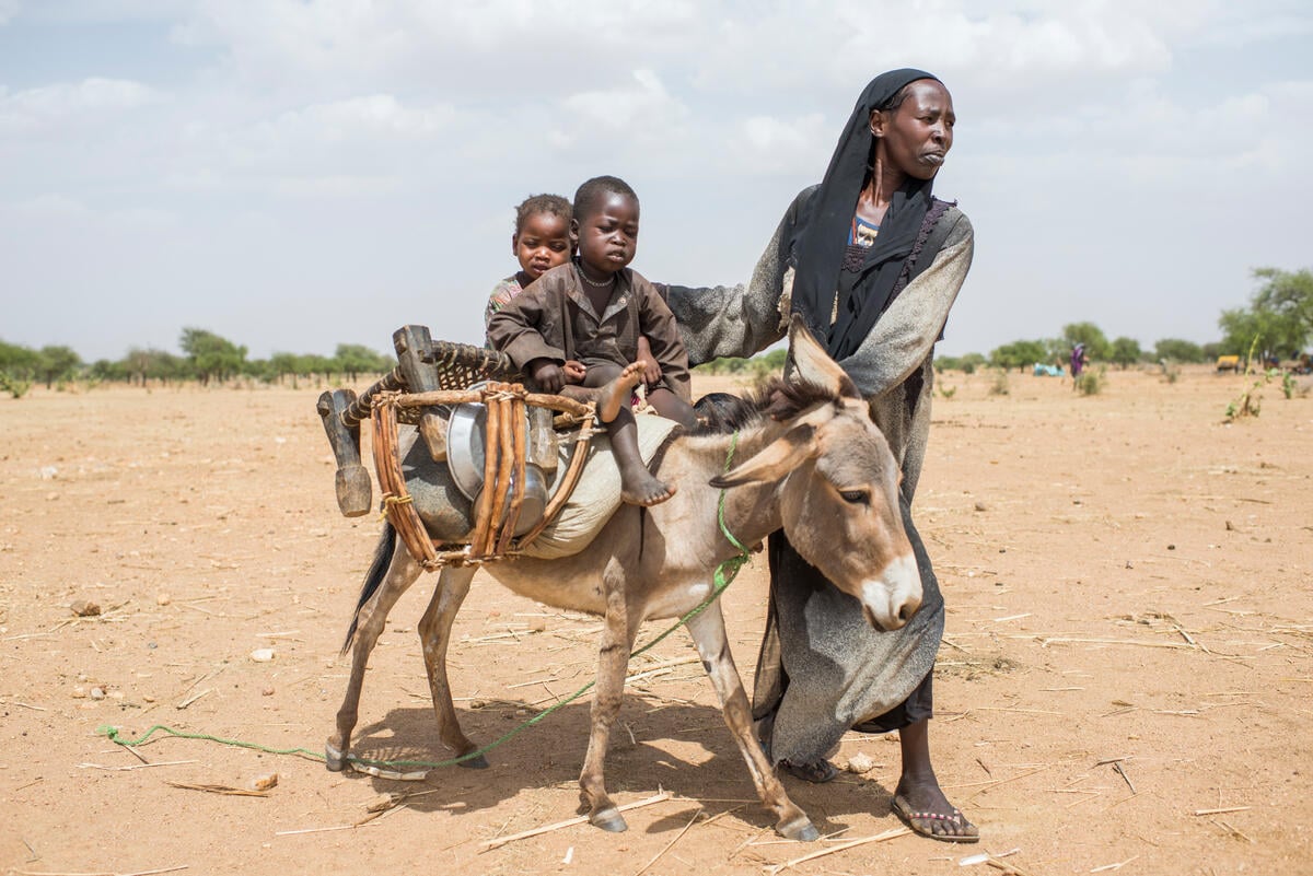 A woman walking beside a donkey, on which two children are sitting