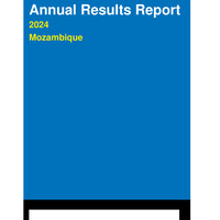 Mozambique Annual Results Report 2024