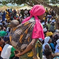 Huge groups of displaced families gather in the open under a large tree