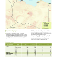 UNHCR Global Report 2011 - Libya 