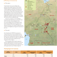 UNHCR Global Appeal 2013 Update - Cameroon