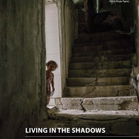 Living in the shadows - Jordan home visits report 2014