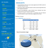 Egypt - Syria Inter-Agency Operational Update