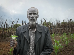 A South Sudanese man holds a plant in front of his field of crops