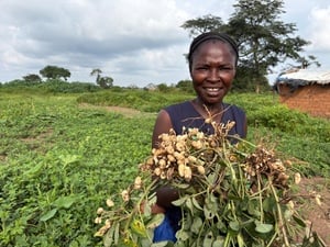 A woman stands in front of a field holding a bundle of harvested groundnut plants
