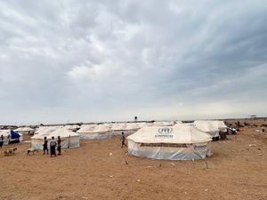 Refugee families gather with animals outside UNHCR tents in an arid environment