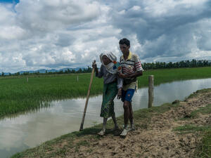 Bangladesh. An elderly Rohingya refugee is helped cross the border