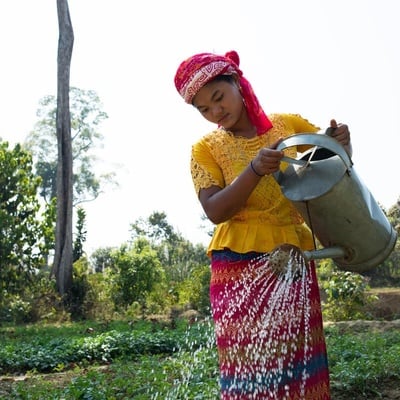 A young woman waters vegatables
